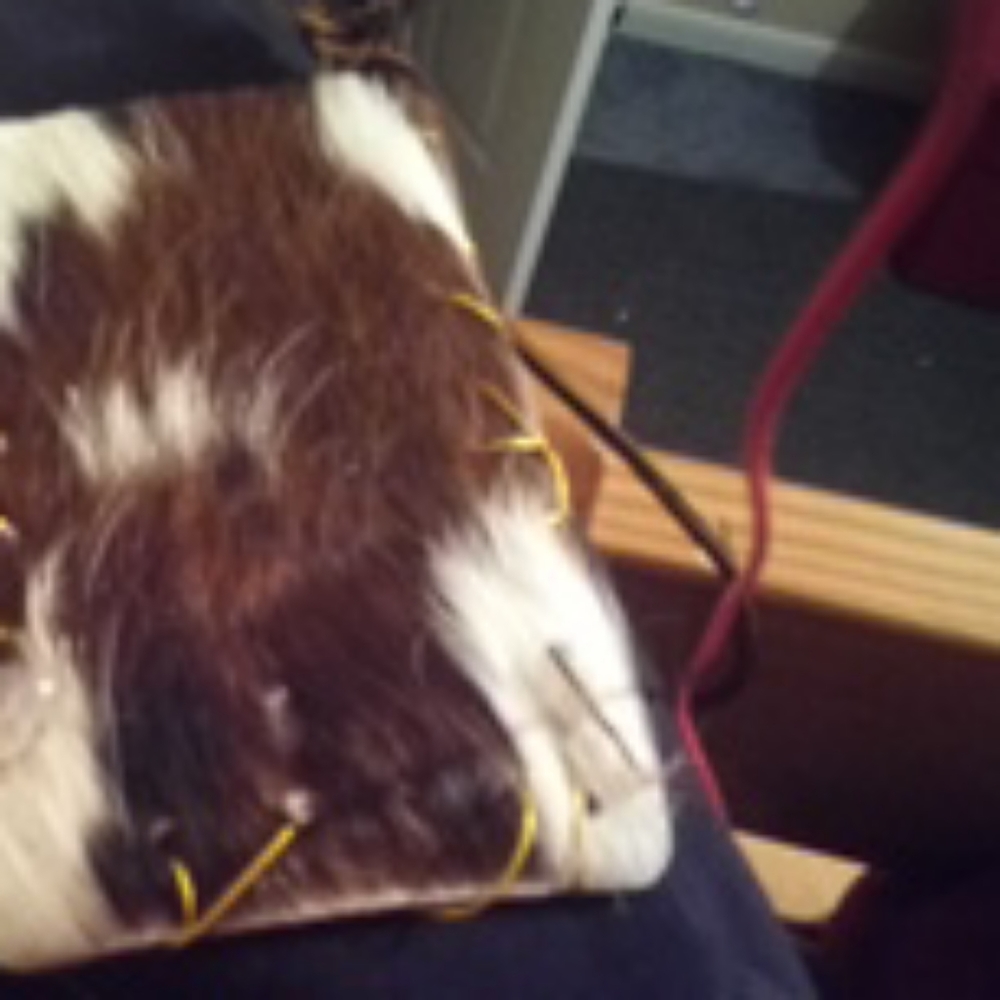 Satal  bag